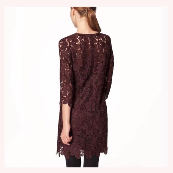 NWT LOFT Wine Lace Cocktail Dress - Picture 2 of 5